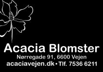 Acacia-blomster